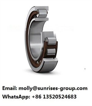 N1012 KPHA/SP Cylindrical Cov Menyuam Bearing 60 * 95 * 18 mm