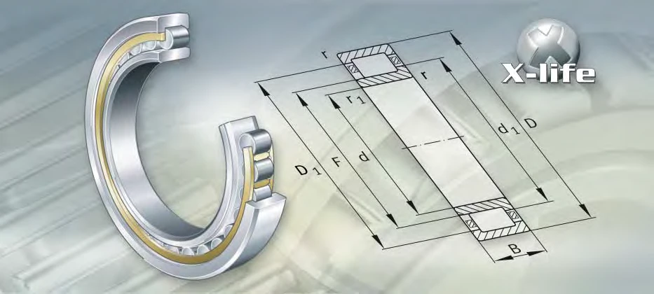 NJ1060-M1A bearing drawing NJ1060-M1A bearing drawing